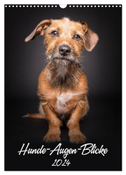 Hunde-Augen-Blicke (Wandkalender 2024 DIN A3 hoch), CALVENDO Monatskalender
