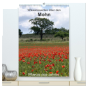 Wissenswertes über den Mohn - Pflanze des Jahres (hochwertiger Premium Wandkalender 2024 DIN A2 hoch), Kunstdruck in Hochglanz
