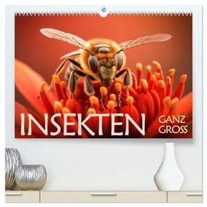 Rohr, Daniel. Insekten ganz gross (hochwertiger Premium Wandkalender 2024 DIN A2 quer), Kunstdruck in Hochglanz - Kleine Insekten im Grossformat. Calvendo, 2023.