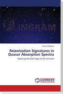 Reionization Signatures in Quasar Absorption Spectra