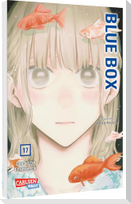 Blue Box 17
