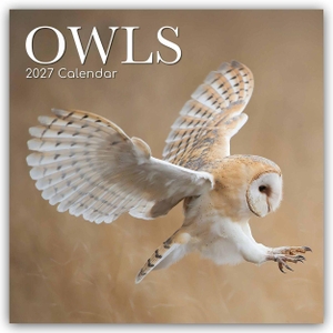 Gifted Stationery Co. Ltd. Owls - Eulen 2027 - 16-Monatskalender - Original Gifted Stationery-Kalender [Mehrsprachig] [Kalender]. Browntrout Verlags GmbH, 2026.