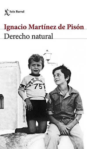 Martínez De Pisón, Ignacio. Derecho natural. Editorial Seix Barral, 2017.