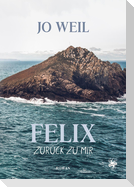 Felix - Zurück zu mir