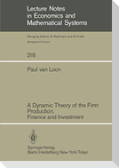 A Dynamic Theory of the Firm: Production, Finance and Investment