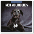 Irish Wolfhounds - Irischer Wolfshund 2027 - 16-Monatskalender
