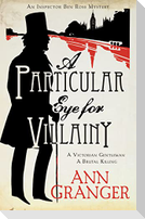 A Particular Eye for Villainy (Inspector Ben Ross Mystery 4)