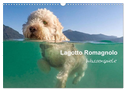 Lagotto Romagnolo - Wasserspiele (Wandkalender 2024 DIN A3 quer), CALVENDO Monatskalender