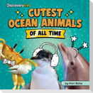 Cutest Ocean Animals of All Time
