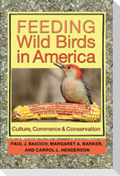 Feeding Wild Birds in America