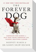 The Forever Dog