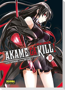 Akame Ga Kill! Zero 10