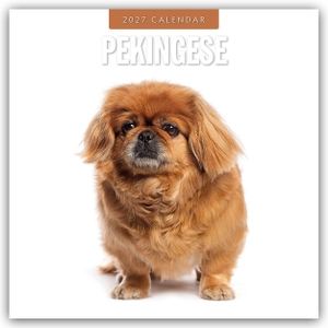 Red, Robin. Pekingese - Pekinese - Peking Palasthund 2027 - 16-Monatskalender - Original Red Robin Publishing Ltd-Kalender [Mehrsprachig] [Kalender]. Browntrout Verlags GmbH, 2026.