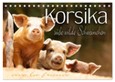 Korsika - süße, wilde Schweinchen (Tischkalender 2024 DIN A5 quer), CALVENDO Monatskalender