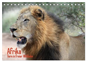 Afrika. Tiere in freier Wildbahn (Tischkalender 2024 DIN A5 quer), CALVENDO Monatskalender