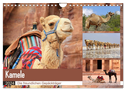 Kamele - Die freundlichen Gepäckträger (Wandkalender 2024 DIN A4 quer), CALVENDO Monatskalender