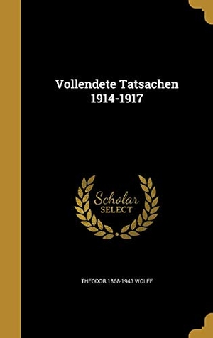 Wolff, Theodor. Vollendete Tatsachen 1914-1917. Creative Media Partners, LLC, 2016.