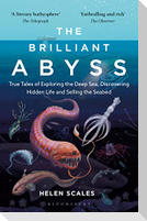 The Brilliant Abyss