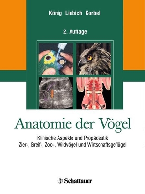 König, Horst Erich / Rüdiger Korbel et al (Hrsg.). Anatomie der Vögel - Klinische Aspekte und Propädeutik. Zier-, Greif-, Zoo-, Wildvögel und Wirtschaftsgeflügel. Schattauer GmbH, 2008.