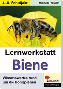 Lernwerkstatt Biene