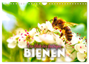 Die Welt der fleißigen Bienen (Wandkalender 2025 DIN A4 quer), CALVENDO Monatskalender