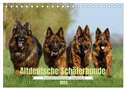 Altdeutsche Schäferhunde - Traumhafte Schäferhunde Langstockhaar (Tischkalender 2024 DIN A5 quer), CALVENDO Monatskalender