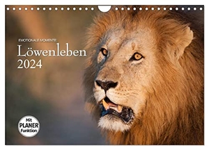 Gerlach GDT, Ingo. Emotionale Momente: Löwenleben (Wandkalender 2024 DIN A4 quer), CALVENDO Monatskalender - Aus dem Leben der faszinierenden Löwen Afrikas. Calvendo Verlag, 2023.