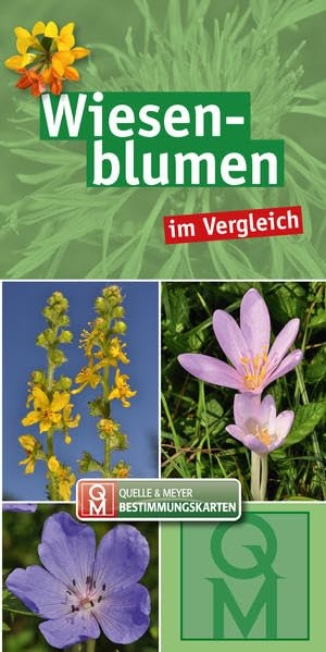Quelle & Meyer Verlag (Hrsg.). Wiesenblumen - im Vergleich. Quelle + Meyer, 2022.