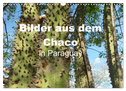 Bilder aus dem Chaco in Paraguay (Wandkalender 2024 DIN A3 quer), CALVENDO Monatskalender