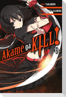 Akame Ga Kill!, Vol. 13