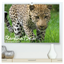 Raubkatzen (hochwertiger Premium Wandkalender 2024 DIN A2 quer), Kunstdruck in Hochglanz