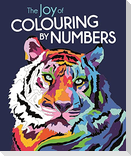 The Joy of Colouring by Numbers
