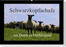 Schwarzkopfschafe am Deich in Ostfriesland (Wandkalender 2022 DIN A2 quer)