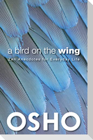 A Bird on the Wing