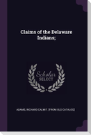Claims of the Delaware Indians;
