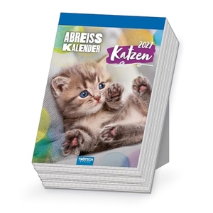 Trötsch Verlag GmbH & Co. KG (Hrsg.). TRÖTSCH - Abreißkalender Katzen 2027 - Aufstellkalender Tischkalender Abreißkalender. Trötsch Verlag GmbH, 2026.