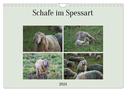Schafe im Spessart (Wandkalender 2024 DIN A4 quer), CALVENDO Monatskalender