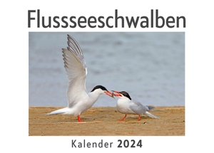 Müller, Anna. Flussseeschwalben (Wandkalender 2024, Kalender DIN A4 quer, Monatskalender im Querformat mit Kalendarium, Das perfekte Geschenk). 27amigos, 2023.