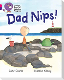 BIG CAT PHONICS_DAD NIPS