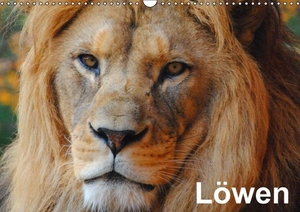 Stanzer, Elisabeth. Löwen (Wandkalender immerwährend DIN A3 quer) - Der Löwe wird als König der Tiere bezeichnet (Monatskalender, 14 Seiten). Calvendo, 2014.