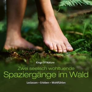 Spaziergänge Im Wald - Loslassen - Erleben - Wohlfühlen. Neptun Media GmbH, 2024.