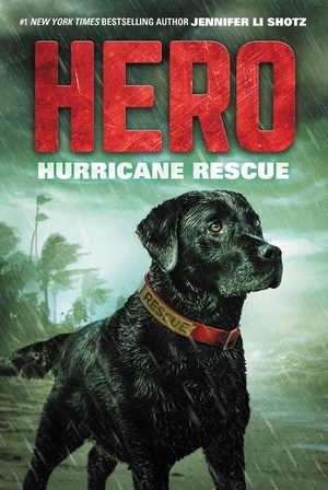 Shotz, Jennifer Li. Hero: Hurricane Rescue. HarperCollins, 2017.