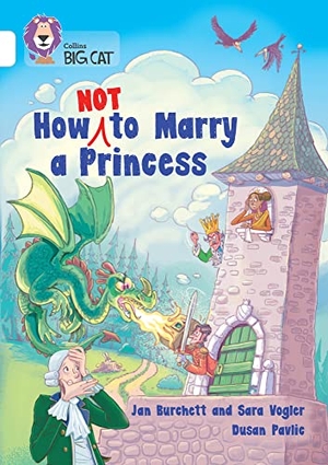 Burchett, Jan / Sara Vogler. BIG CAT_HOW NOT TO MARRY. Harper Collins Publishers - UK Wholesale Acct, 2023.