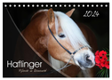 Haflinger-Pferde in Reinzucht (Tischkalender 2024 DIN A5 quer), CALVENDO Monatskalender