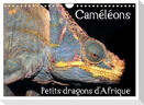 Caméléons - Petits dragons d'Afrique. (Calendrier mural 2025 DIN A4 vertical), CALVENDO calendrier mensuel