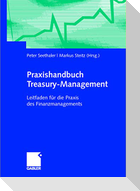 Praxishandbuch Treasury-Management