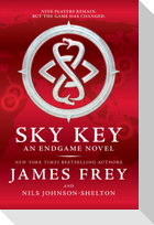 Endgame: Sky Key