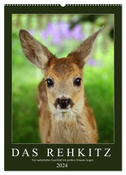 Das Rehkitz, ein zauberhaftes Geschöpf mit großen, braunen Augen (Wandkalender 2024 DIN A2 hoch), CALVENDO Monatskalender