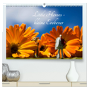 Little Heroes - kleine Eroberer (hochwertiger Premium Wandkalender 2025 DIN A2 quer), Kunstdruck in Hochglanz