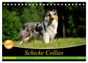 Schicke Collies (Tischkalender 2024 DIN A5 quer), CALVENDO Monatskalender